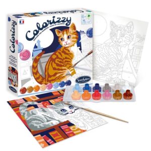 SentoSphère Colorizzy Cats Paint by Number Kit CHATS, 4503, 1 Unité (Lot de 1)