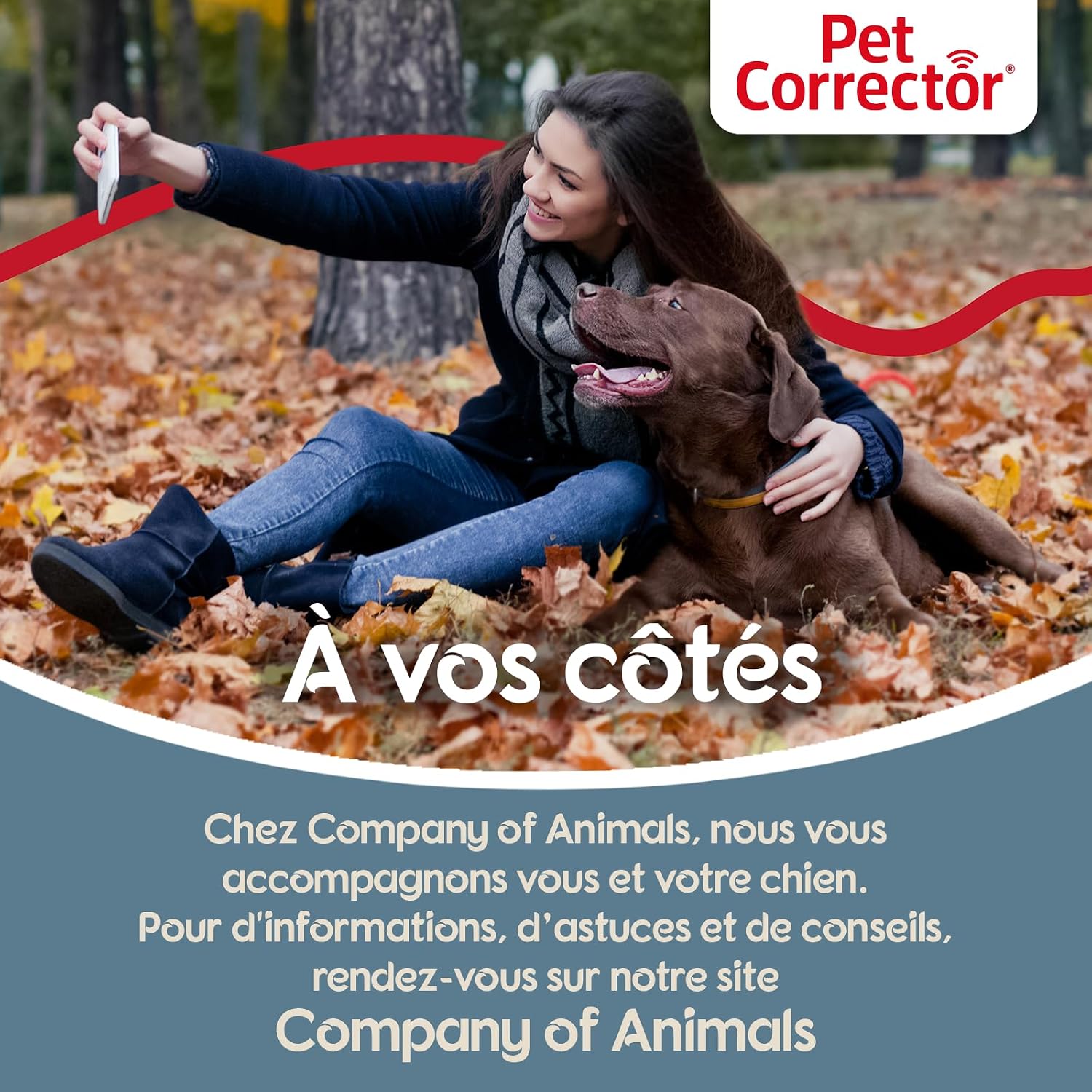 PET CORRECTOR — Spray de Dressage pour Chien – Image 4