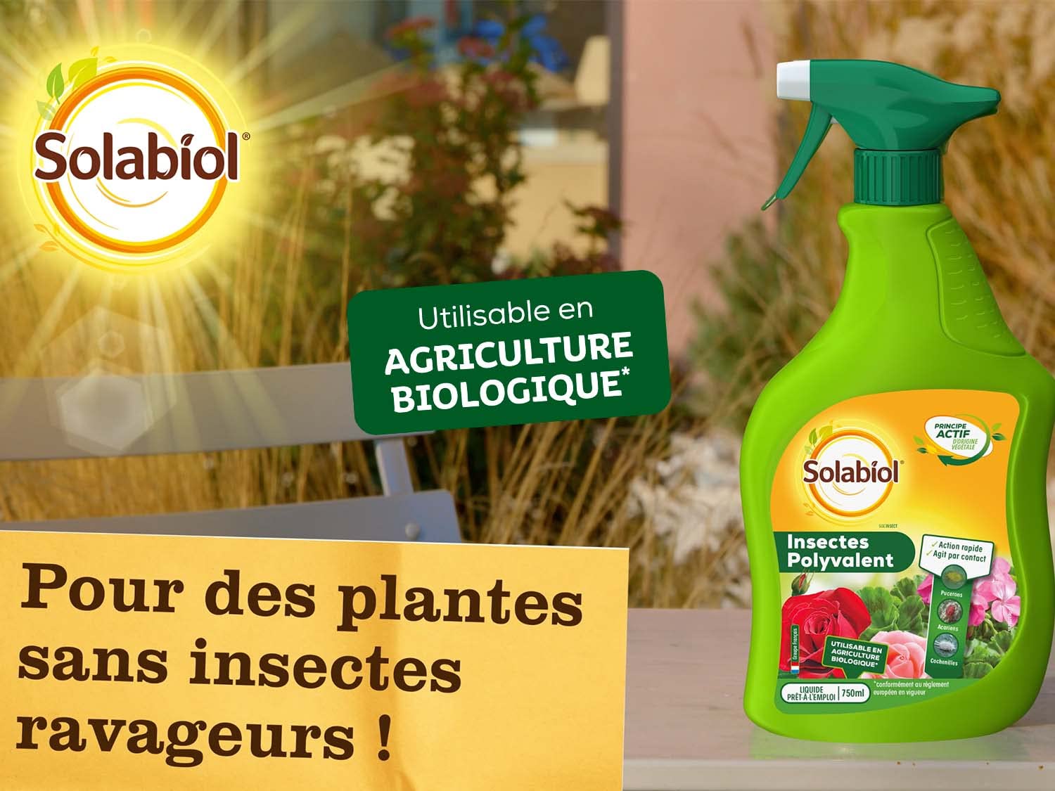 SOLABIOL — Insecticide Polyvalent Prêt à l'emploi 750ml – Image 5