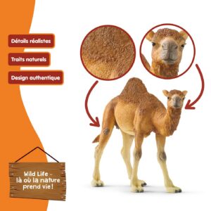 Alternative view of SCHLEICH Wild Life — Figurine Dromadaire 14 x 4 x 10 cm
