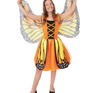 P'TIT CLOWN - 24541 - Costume papillon - orange - enfant - 3/4 ans