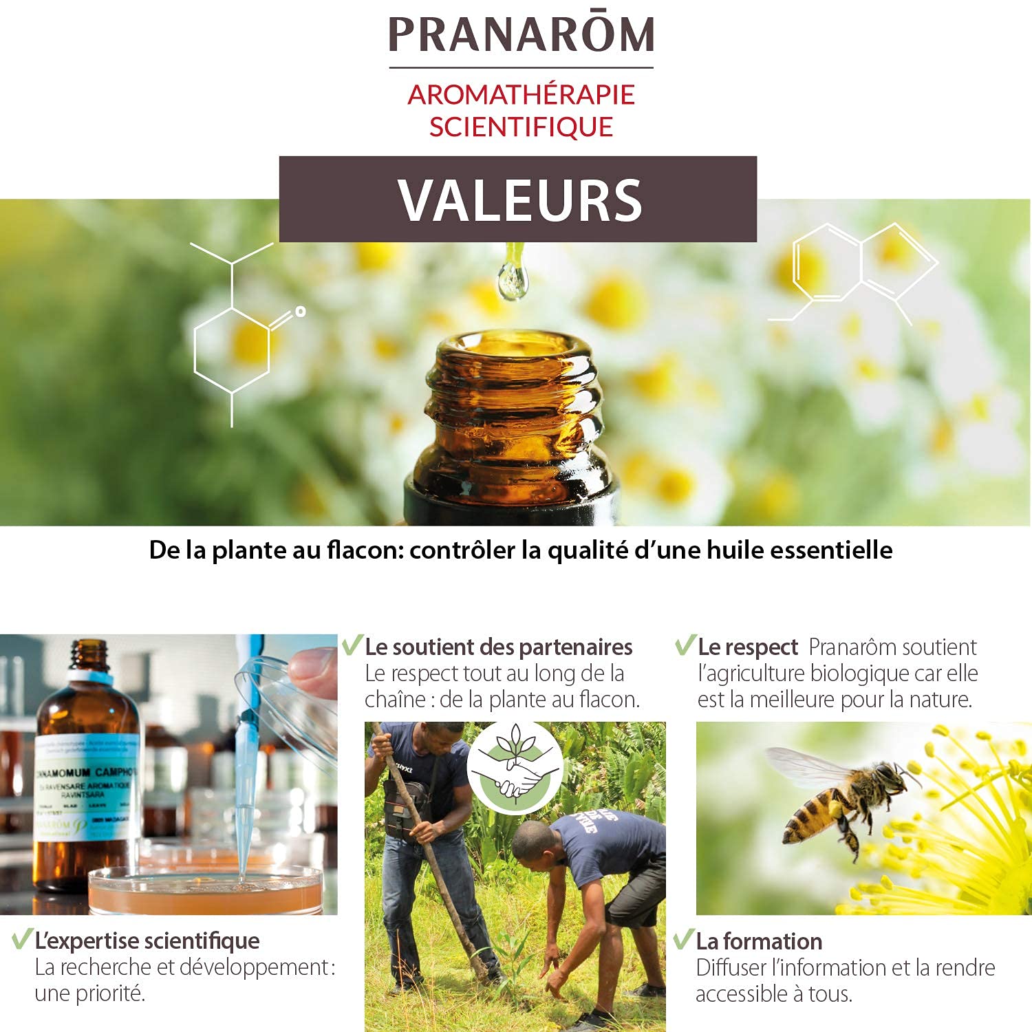 PRANARÔM — Huile essentielle Géranium rosat bio 10 ml – Image 4