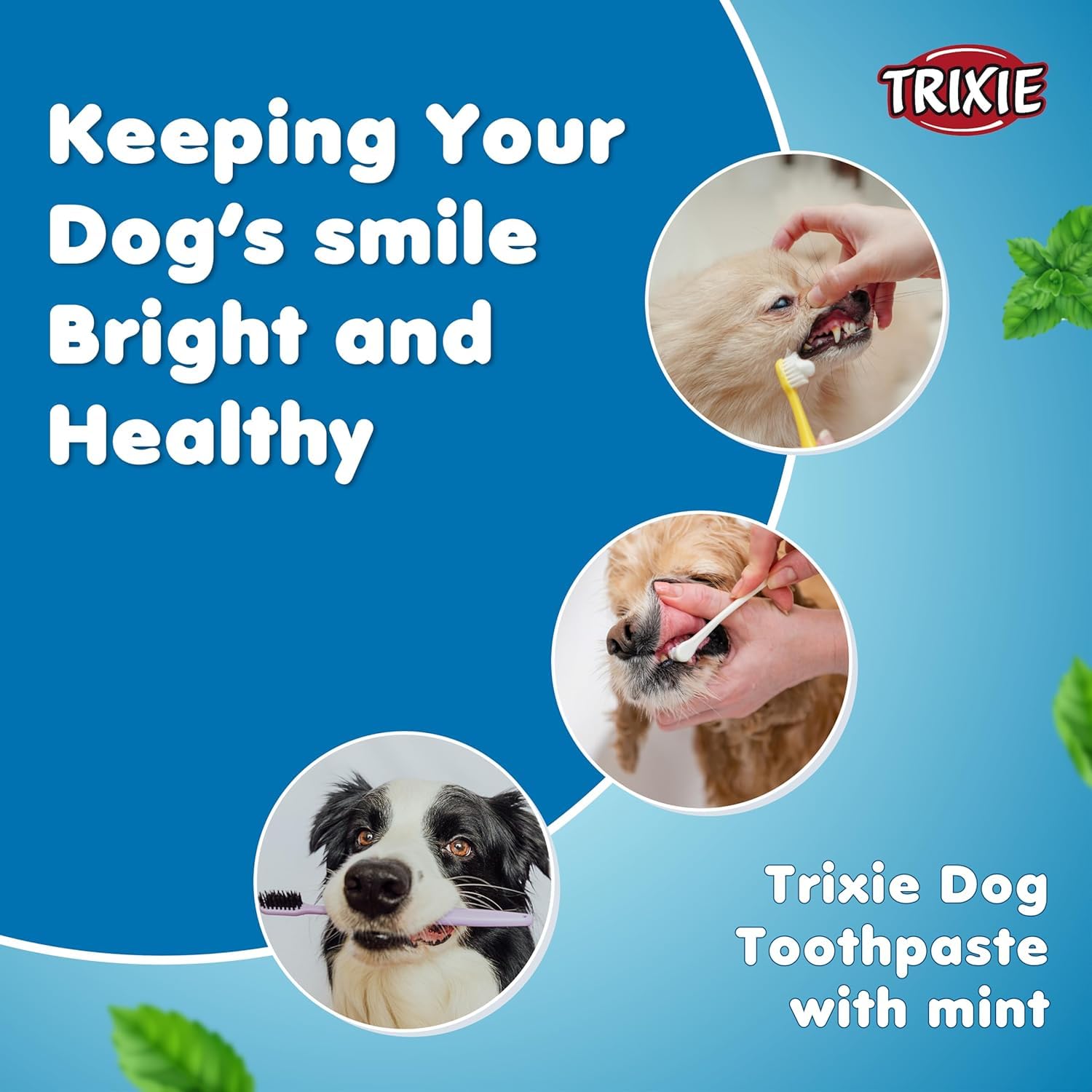 TRIXIE — Dentifrice à la Menthe 100 g – Image 5