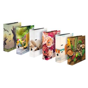 Falken Lot de 6 classeurs à levier en plastique avec motifs assortis - Fabriqué en Allemagne - 8 cm de large - Format A4 - Différents motifs