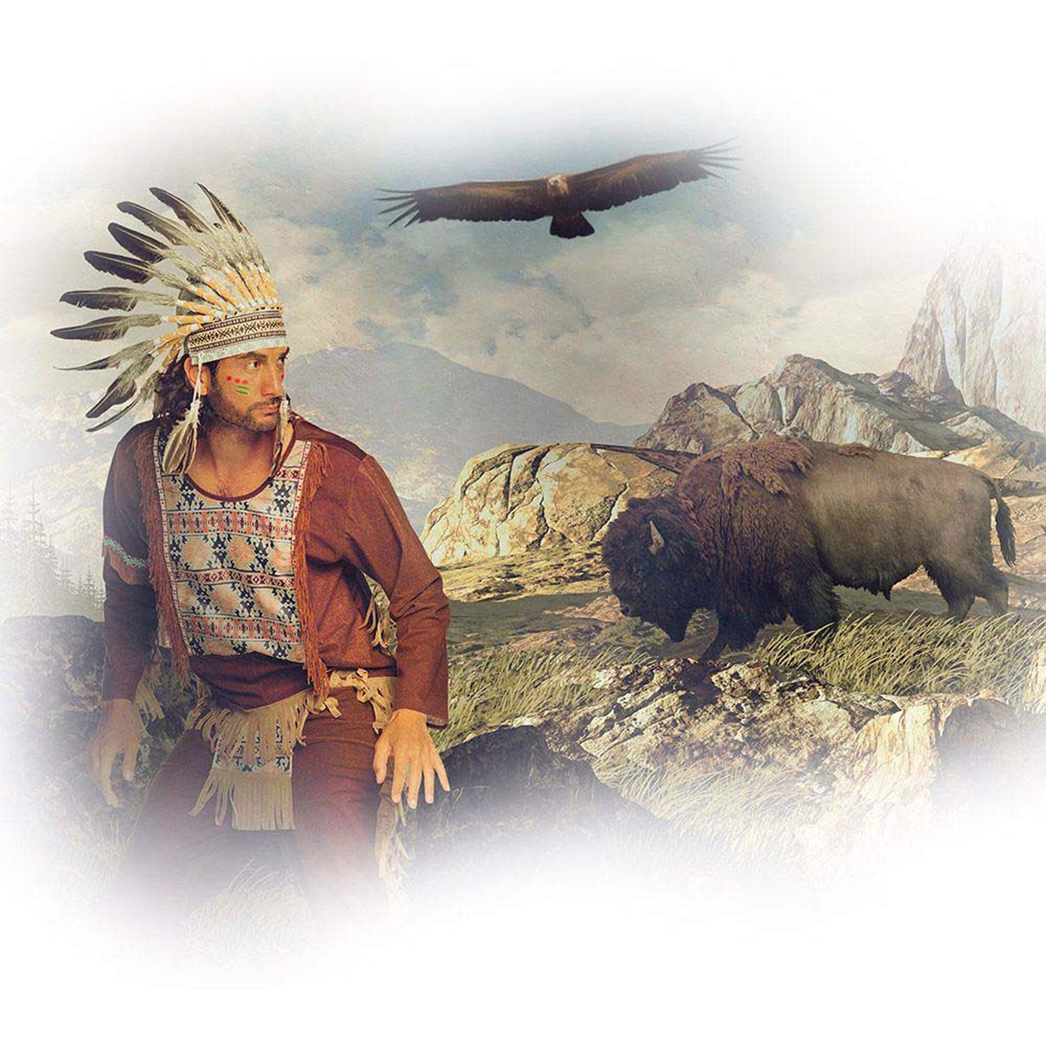 BOLAND — Coiffe d’Indien à Plumes et Perles – Image 4