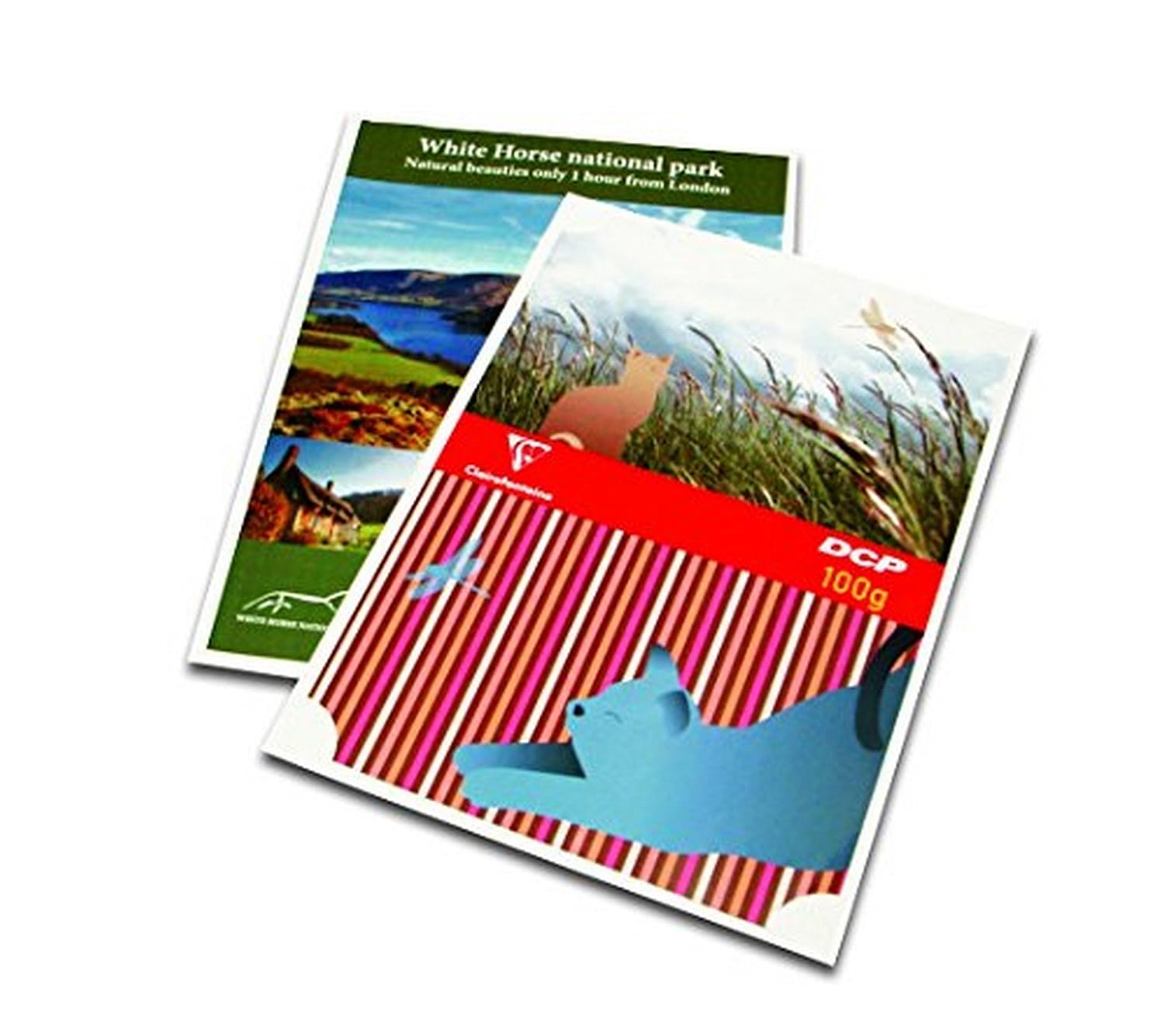 Clairefontaine - DCP - Lot de 4 Ramettes de Papier (4 x 250 Feuilles) - A4 - 160g - Blanc – Image 3