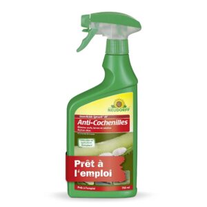 Neudorff Insecticide Spruzit Anti cochenille AF - Traite les cochenilles et les pucerons sur les plantes ornementales et les fleurs, spray prêt à l'emploi à action rapide, 750 ml