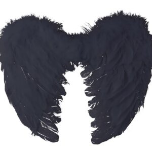 Alternative view of P'TIT Clown — Ailes d'ange en plumes noires 40x32 cm