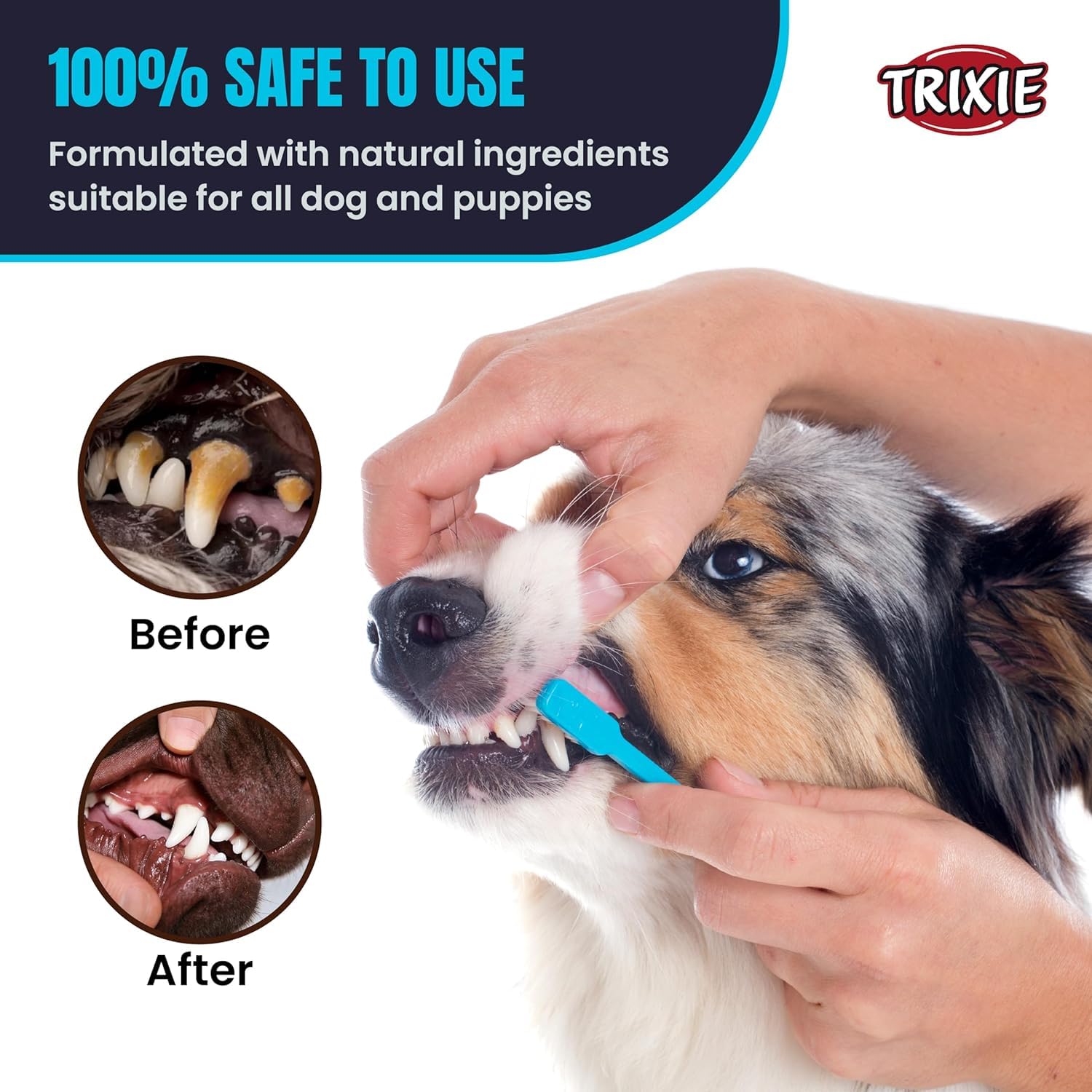 TRIXIE — Dentifrice à la Menthe 100 g – Image 3