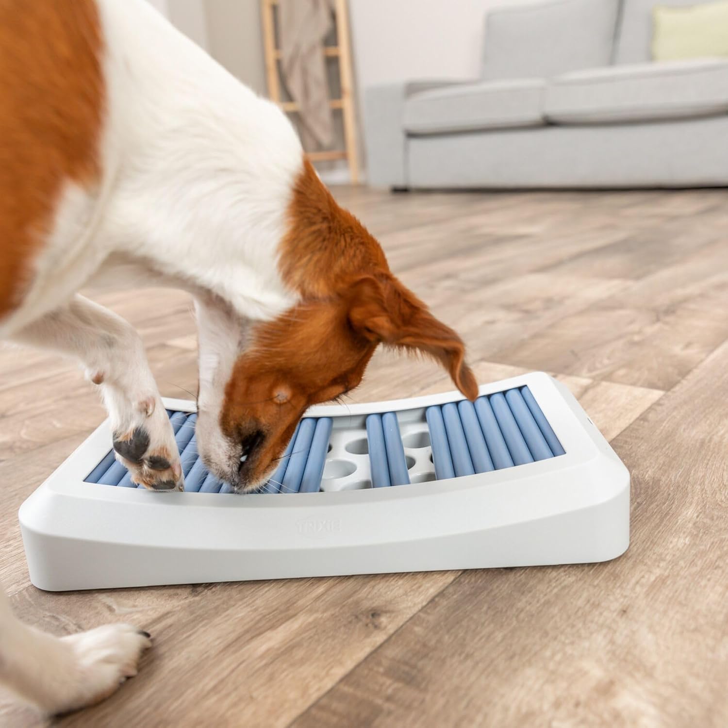 TRIXIE Rod Board — Jouet Puzzle pour Chien Niveau 1 – Image 5