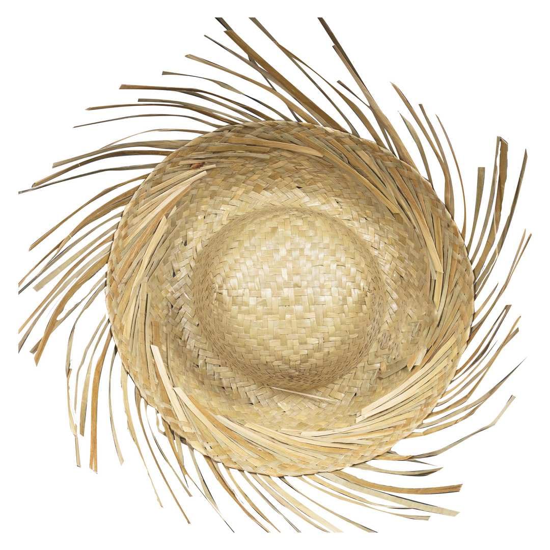 P'TIT CLOWN — Chapeau de Paille Hawaïen Adulte Taille Unique – Image 3
