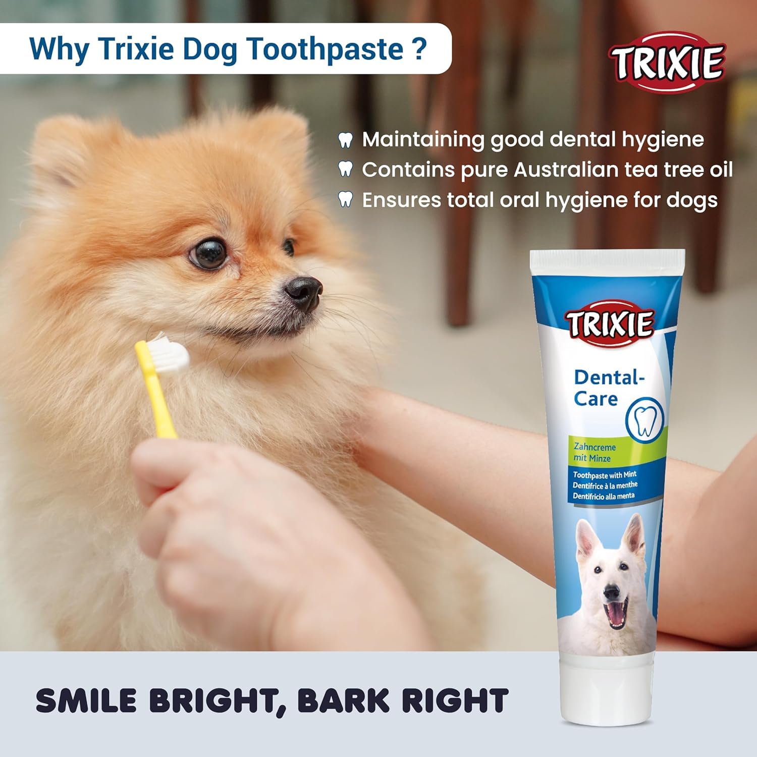 TRIXIE — Dentifrice à la Menthe 100 g – Image 4