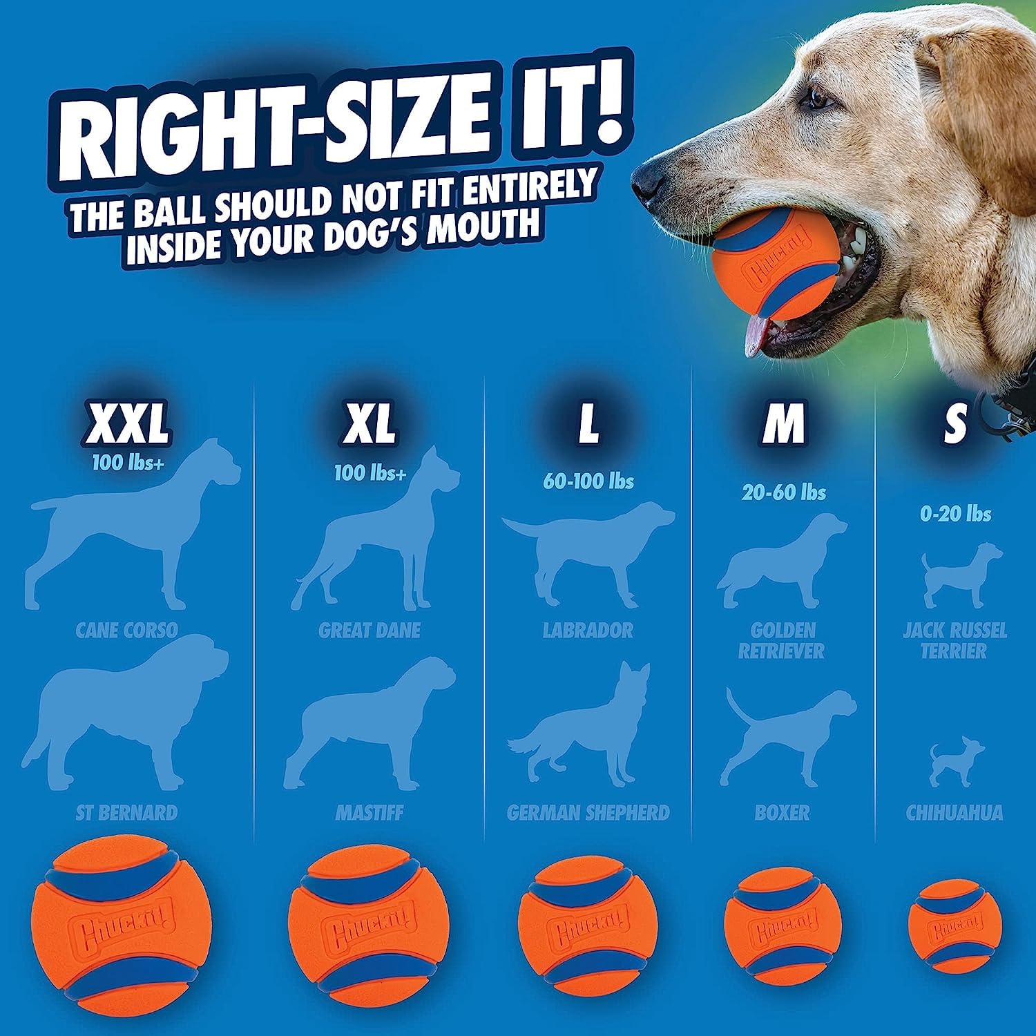 CHUCKIT Ultra Tug — Jouet pour Chien 5 cm Taille S – Image 5
