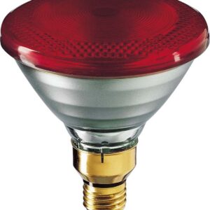 Philips Ampoules Lampe chauffante infrarouge 175 W E IR 175 R PAR38/240 V