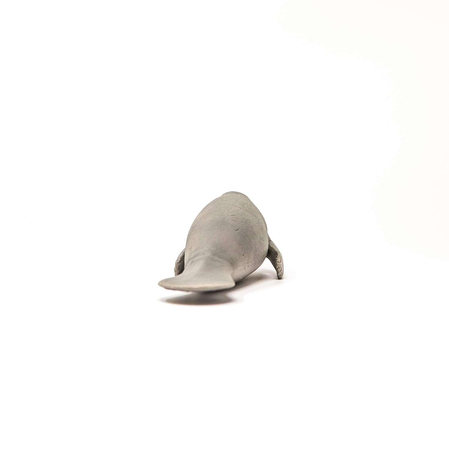 SCHLEICH Wild Life — Figurine Lamantin – Image 4