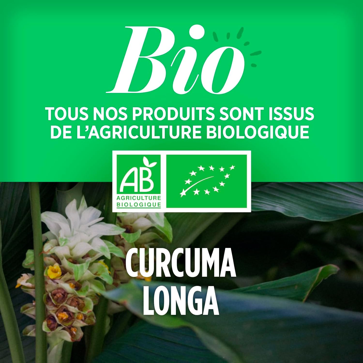 CURCUMA — Complément alimentaire bio 400 mg, 200 comprimés – Image 3