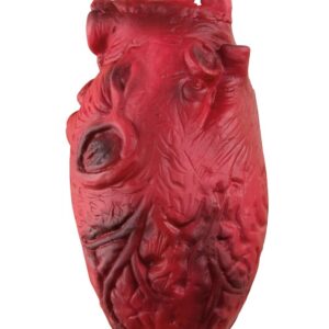 P'tit Clown - Décoration Halloween Sanglante, Faux Organes et Parties du Corps en Plastique, Ambiance Terrifiante (Faux cœur Sanglant)