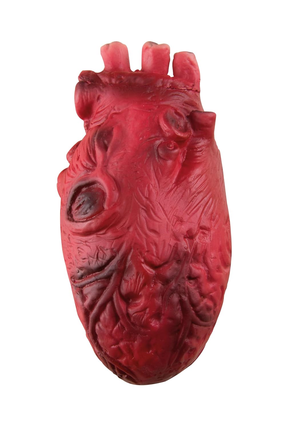P'tit Clown - Décoration Halloween Sanglante, Faux Organes et Parties du Corps en Plastique, Ambiance Terrifiante (Faux cœur Sanglant)