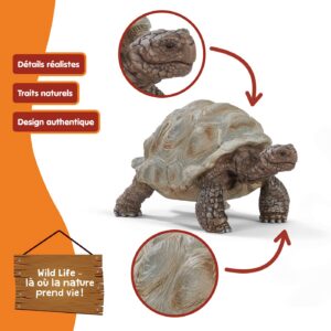 Alternative view of SCHLEICH Wild Life — Figurine Tortue Géante 8 x 4 x 4 cm