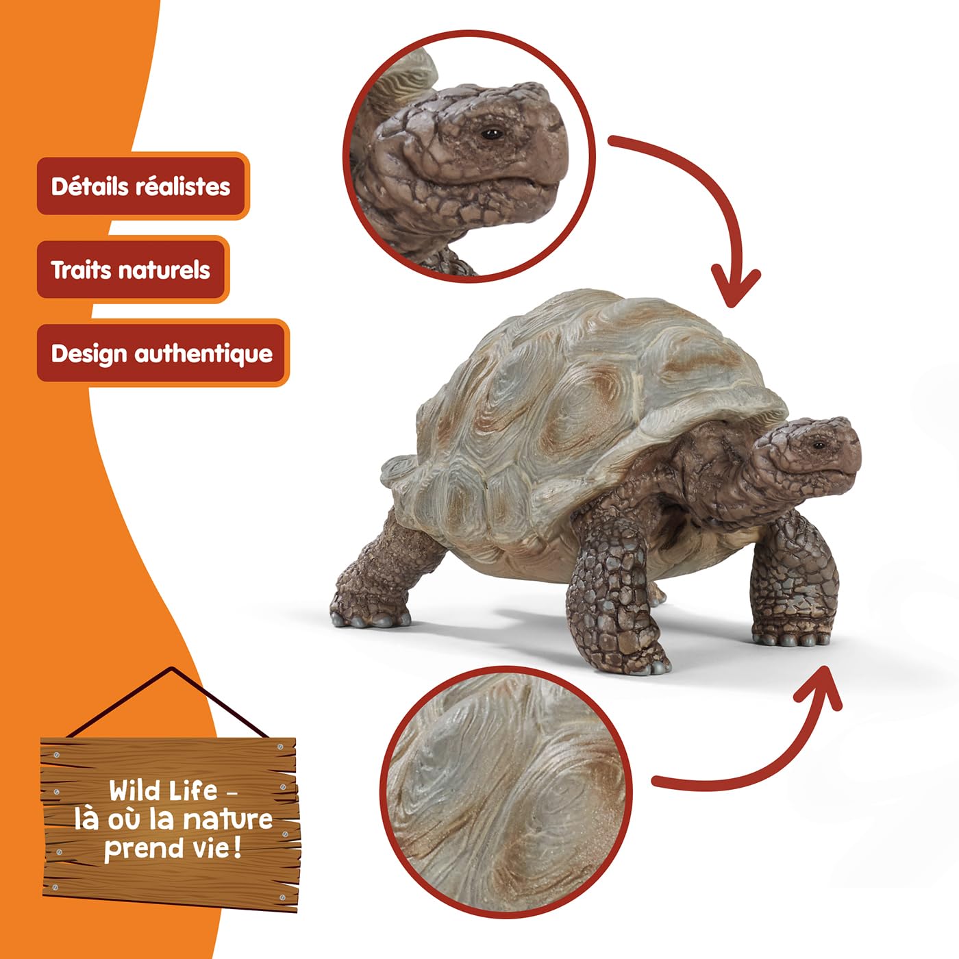 SCHLEICH Wild Life — Figurine Tortue Géante 8 x 4 x 4 cm – Image 2