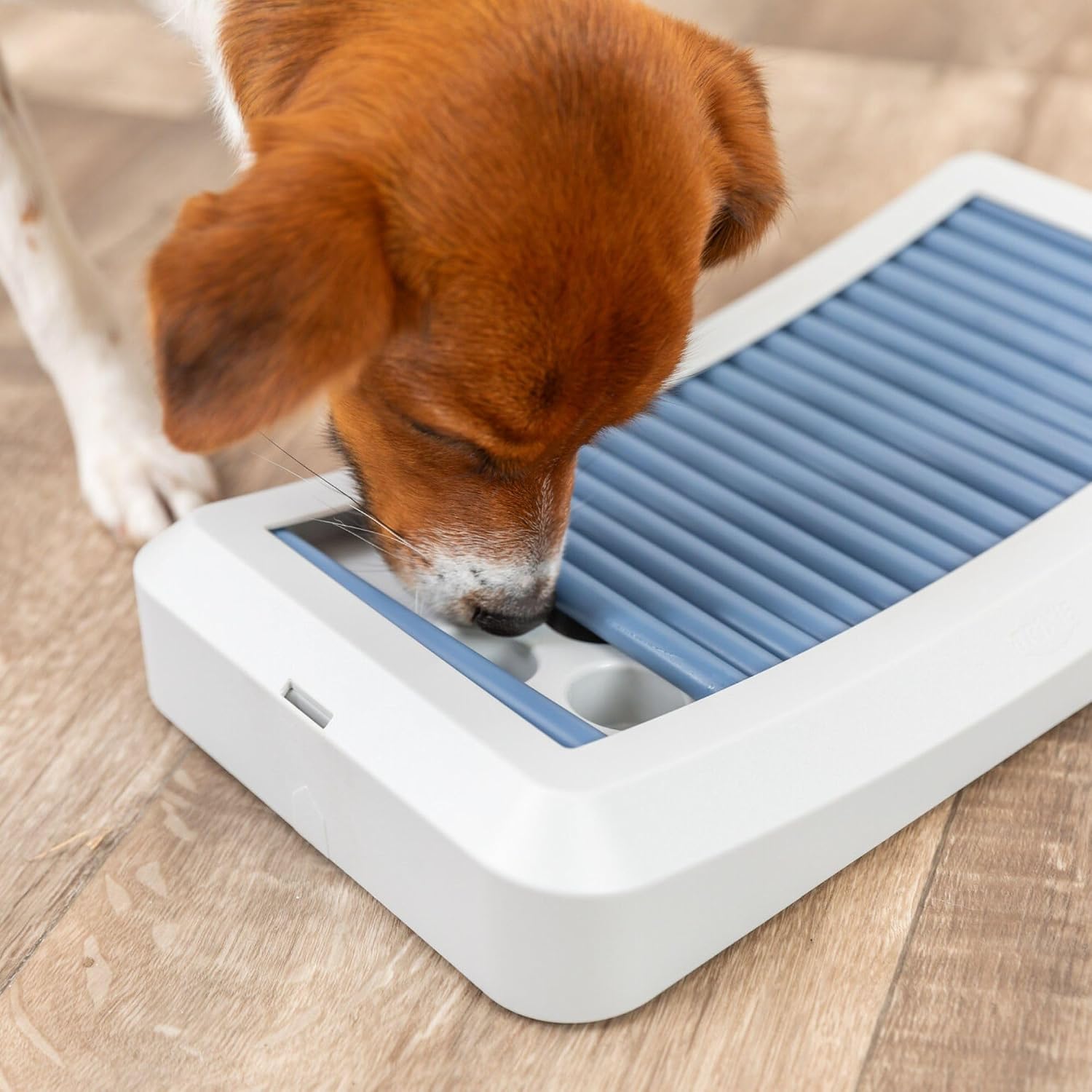 TRIXIE Rod Board — Jouet Puzzle pour Chien Niveau 1 – Image 4