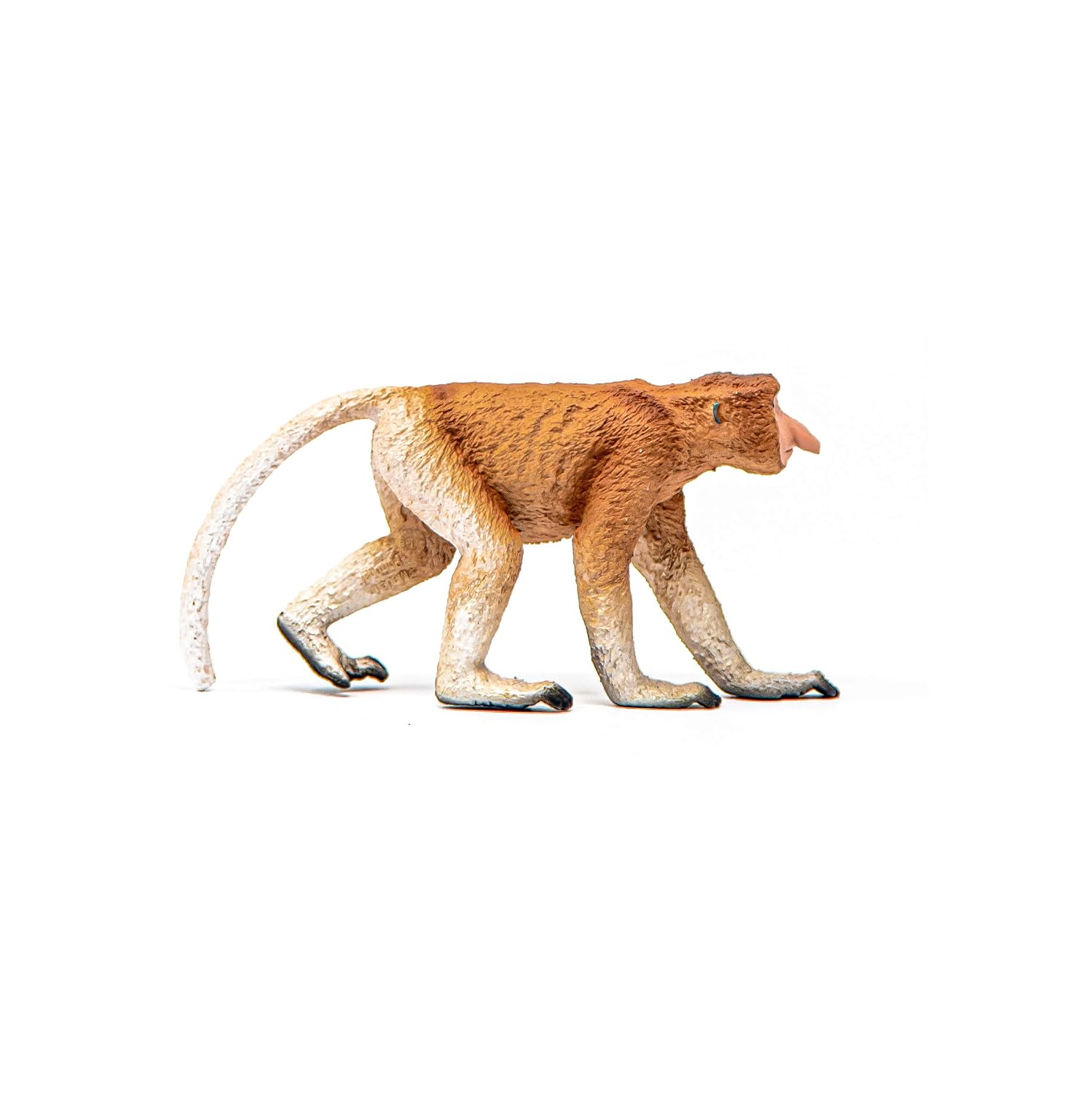 SCHLEICH Wild Life — Figurine Nasique – Image 5