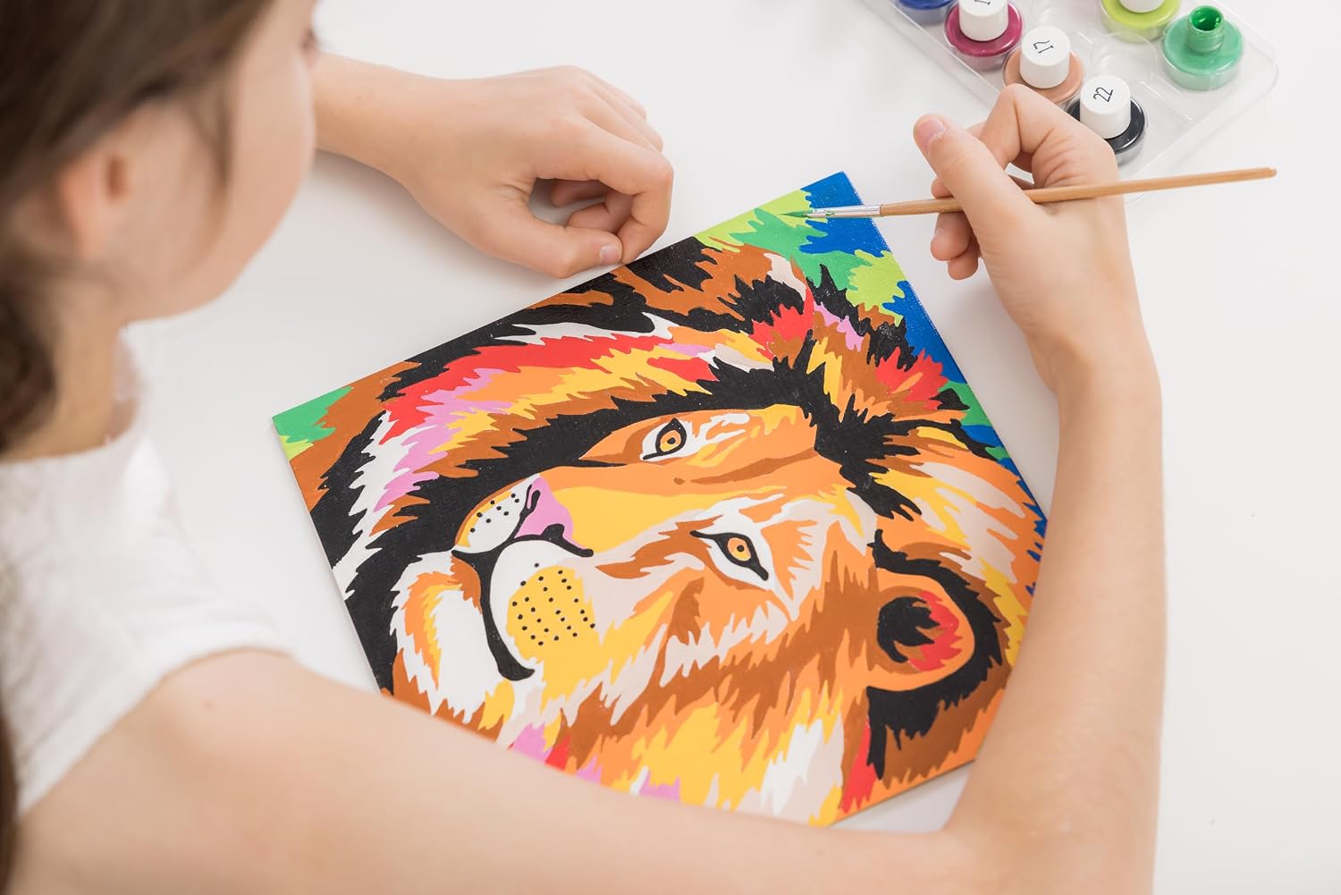SENTOSPHÈRE Colorizzy Savane — Kit Peinture par Numéros – Image 2