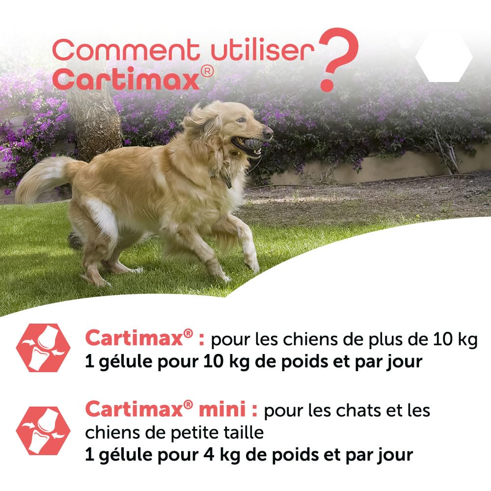 MP LABO Cartimax — Complément articulaire chien et chat 50 gélules – Image 5