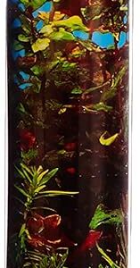 Alternative view of EBI Beauté/Mer — Poster de fond pour aquarium 80 x 40 cm