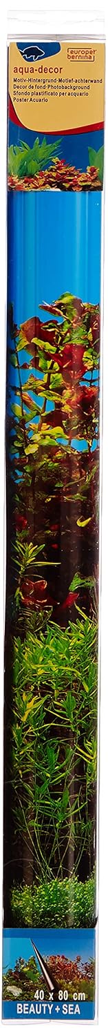 EBI Beauté/Mer — Poster de fond pour aquarium 80 x 40 cm – Image 2