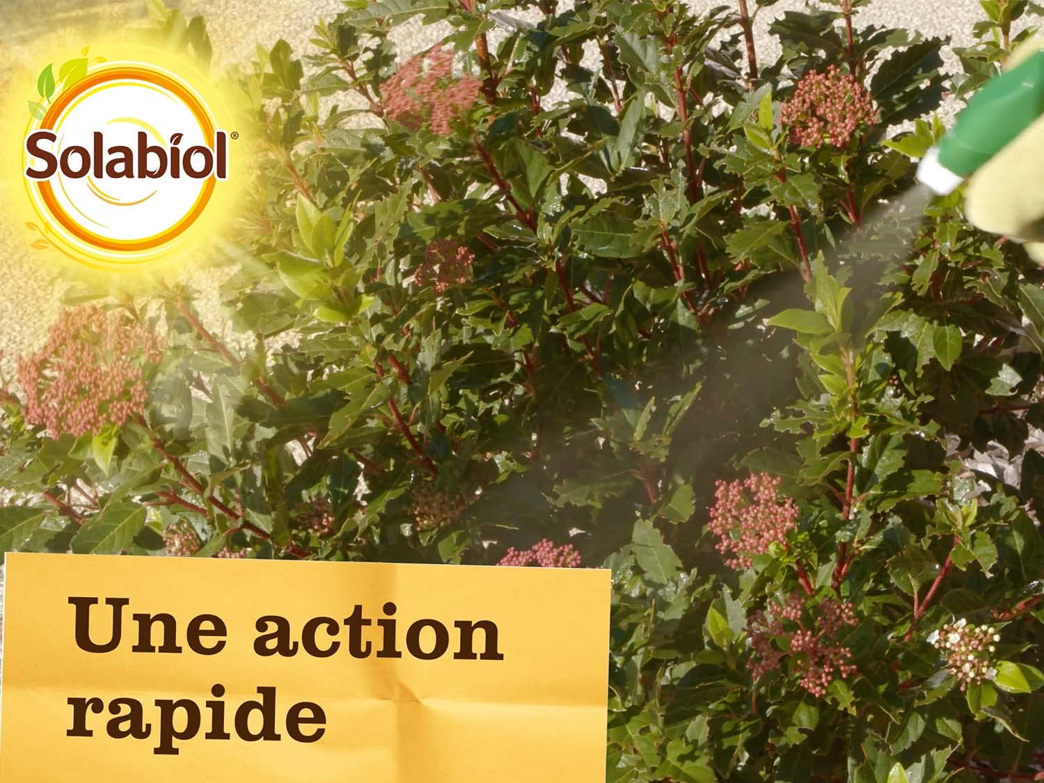 SOLABIOL — Insecticide Polyvalent Prêt à l'emploi 750ml – Image 4