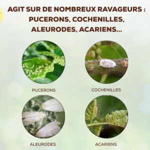 Alternative view of SOLABIOL — Pulvérisateur Insectes Plantes d’Intérieur 500ml