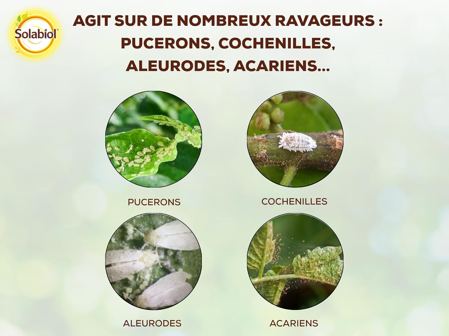 SOLABIOL — Pulvérisateur Insectes Plantes d’Intérieur 500ml – Image 2