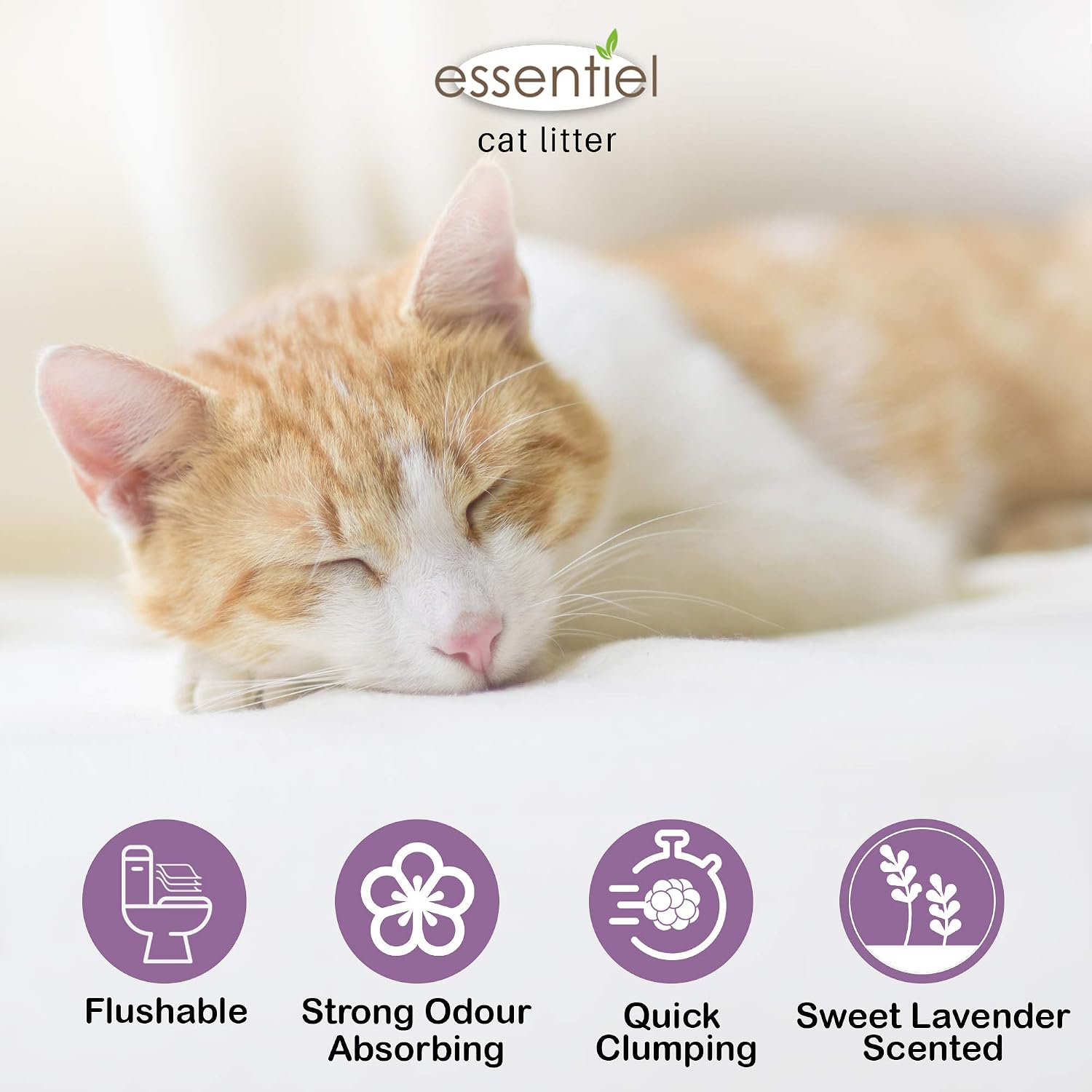 ESSENTIEL — Litière agglomérante soja lavande pour chat 6L – Image 7