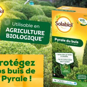 Alternative view of SOLABIOL — Traitement pyrale du buis BTK 6 sachets hydrosolubles