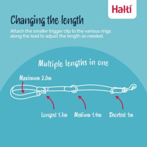 Alternative view of HALTI — Laisse éducative 7 fonctions taille S 2 m noir