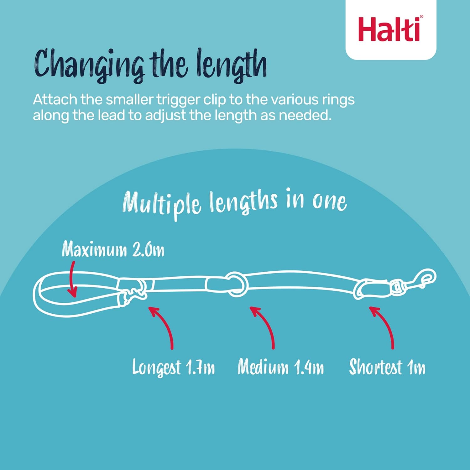 HALTI — Laisse éducative 7 fonctions taille S 2 m noir – Image 2