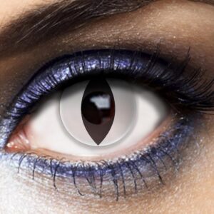 P'TIT CLOWN - Lentilles de Contact (sans correction) -Journalières- Parfaites pour Compléter votre Déguisement pour Halloween, Carnaval et autres Fêtes Costumées (Chat blanc, 2 unité (Lot de 1), 0)