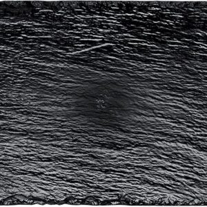 Generic - 10 Assiettes Ardoise PVC 30X15.8CM