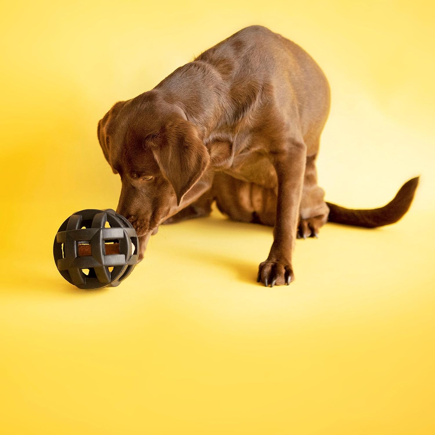 JW HOL-EE Roller X — Jouet à Mâcher pour Chien – Image 5