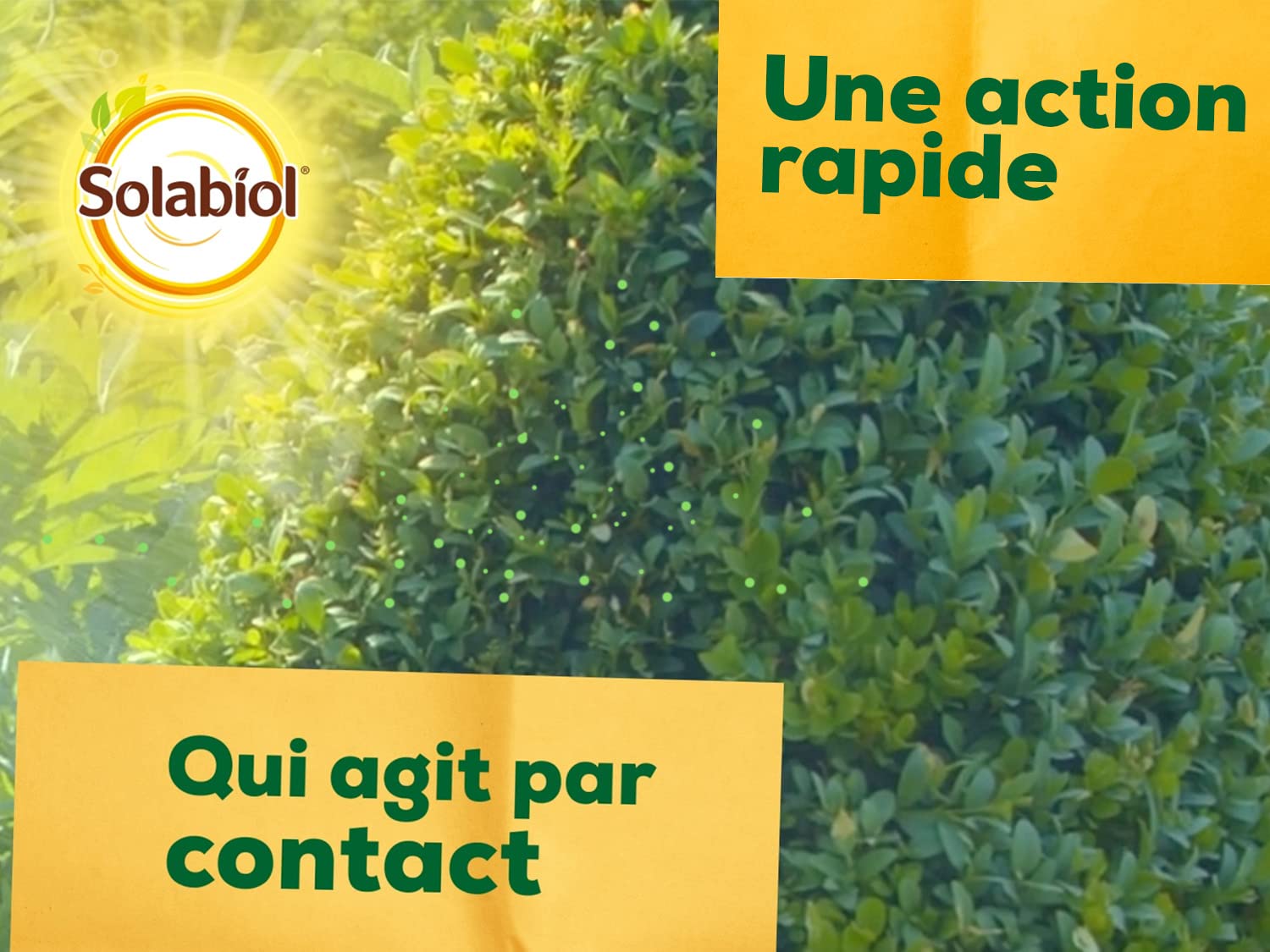 SOLABIOL — Traitement pyrale du buis BTK 6 sachets hydrosolubles – Image 4