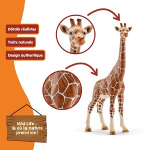 Alternative view of SCHLEICH — Girafe femelle
