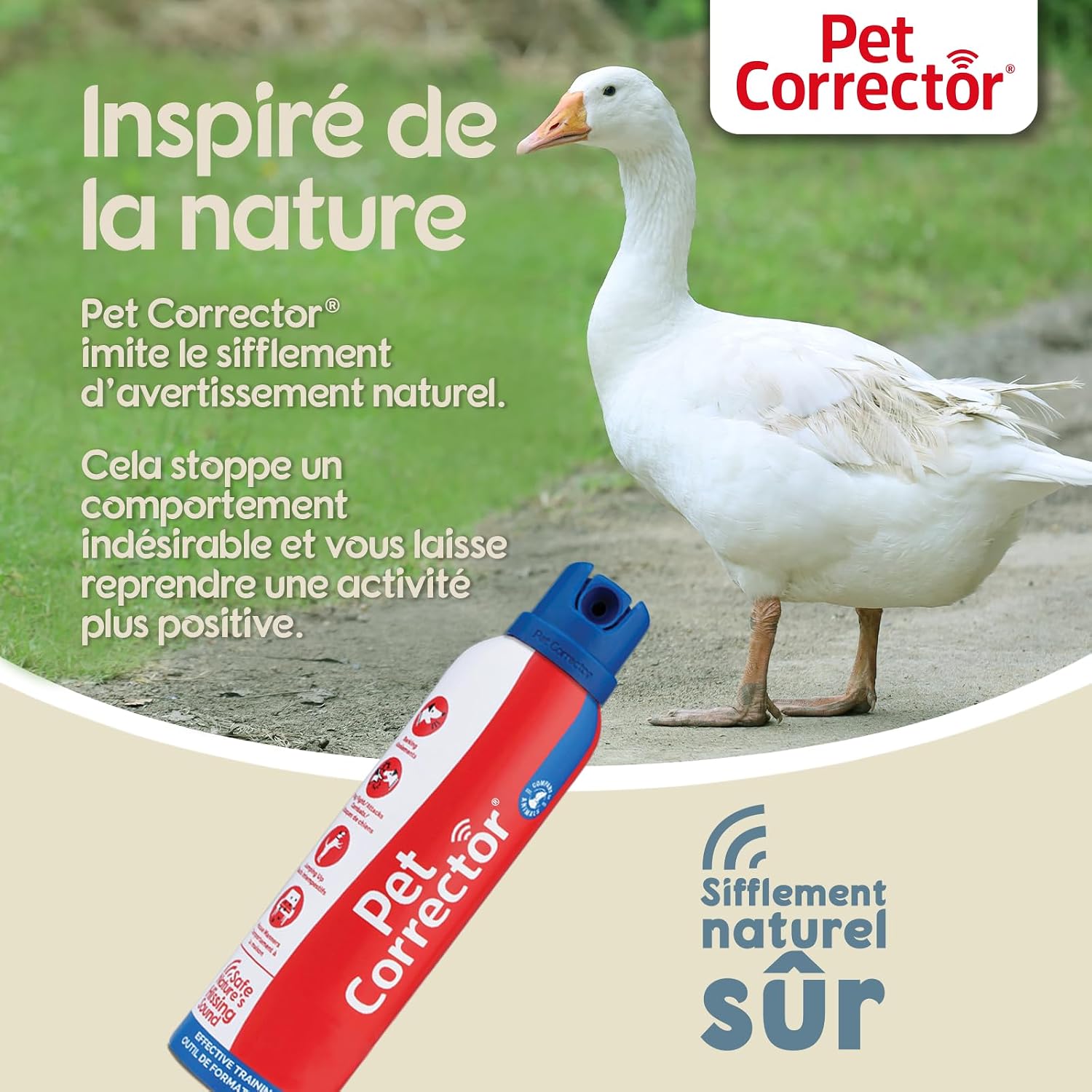 PET CORRECTOR — Spray de Dressage pour Chien – Image 3