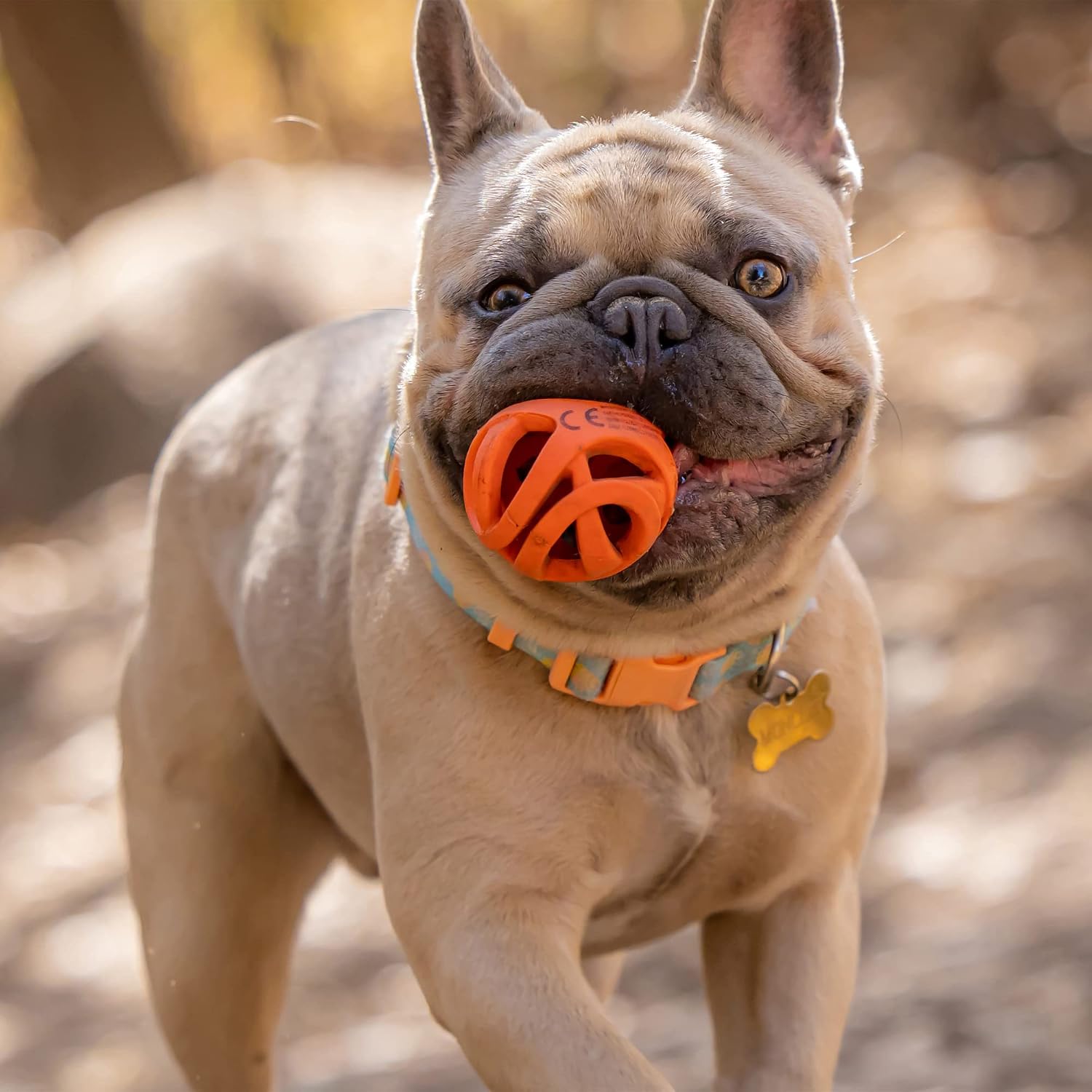 CHUCKIT! Breathe Right Fetch — Lot de 2 Balles pour Chien S – Image 3