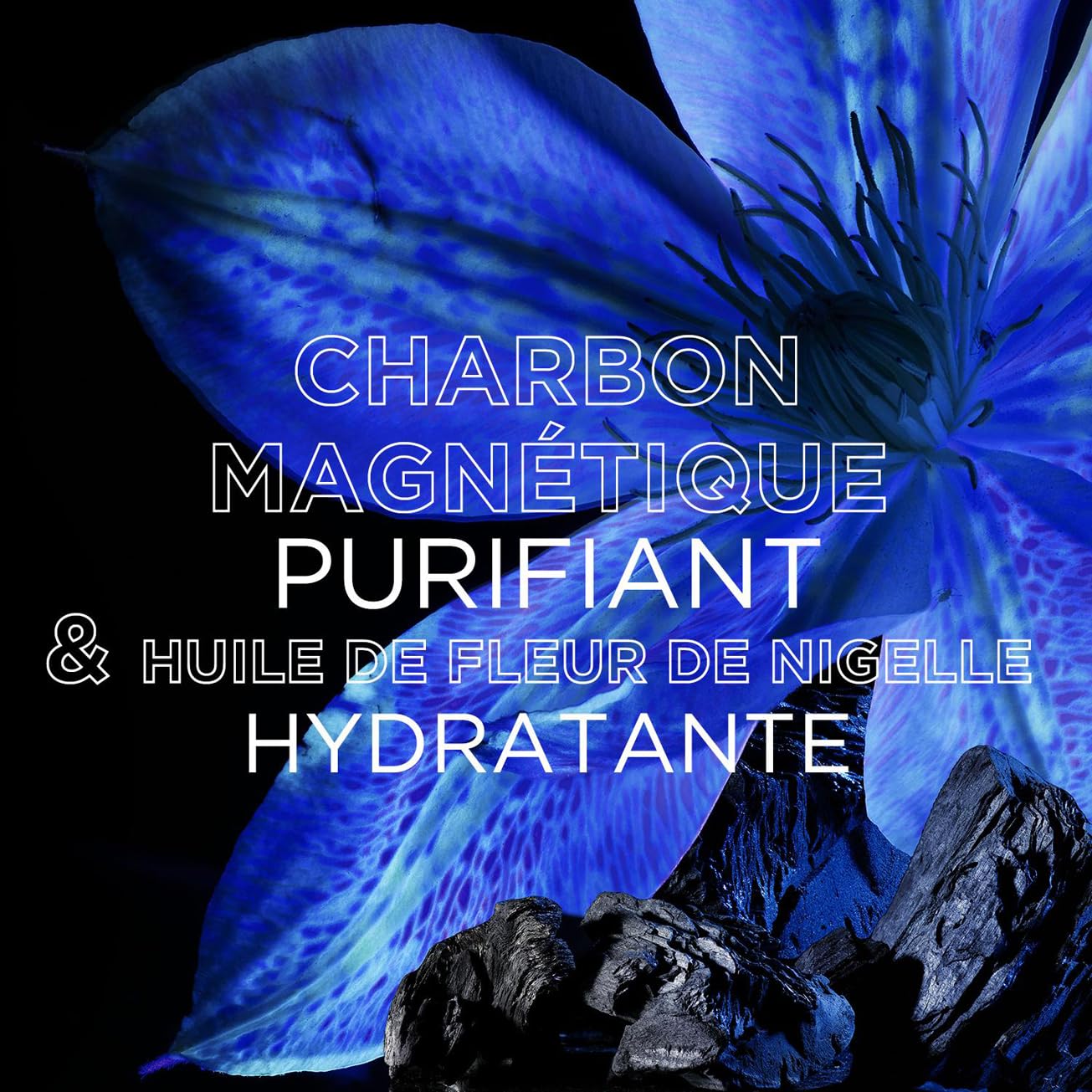 GARNIER Ultra Doux — Shampooing hydratant charbon & nigelle 250 ml – Image 4