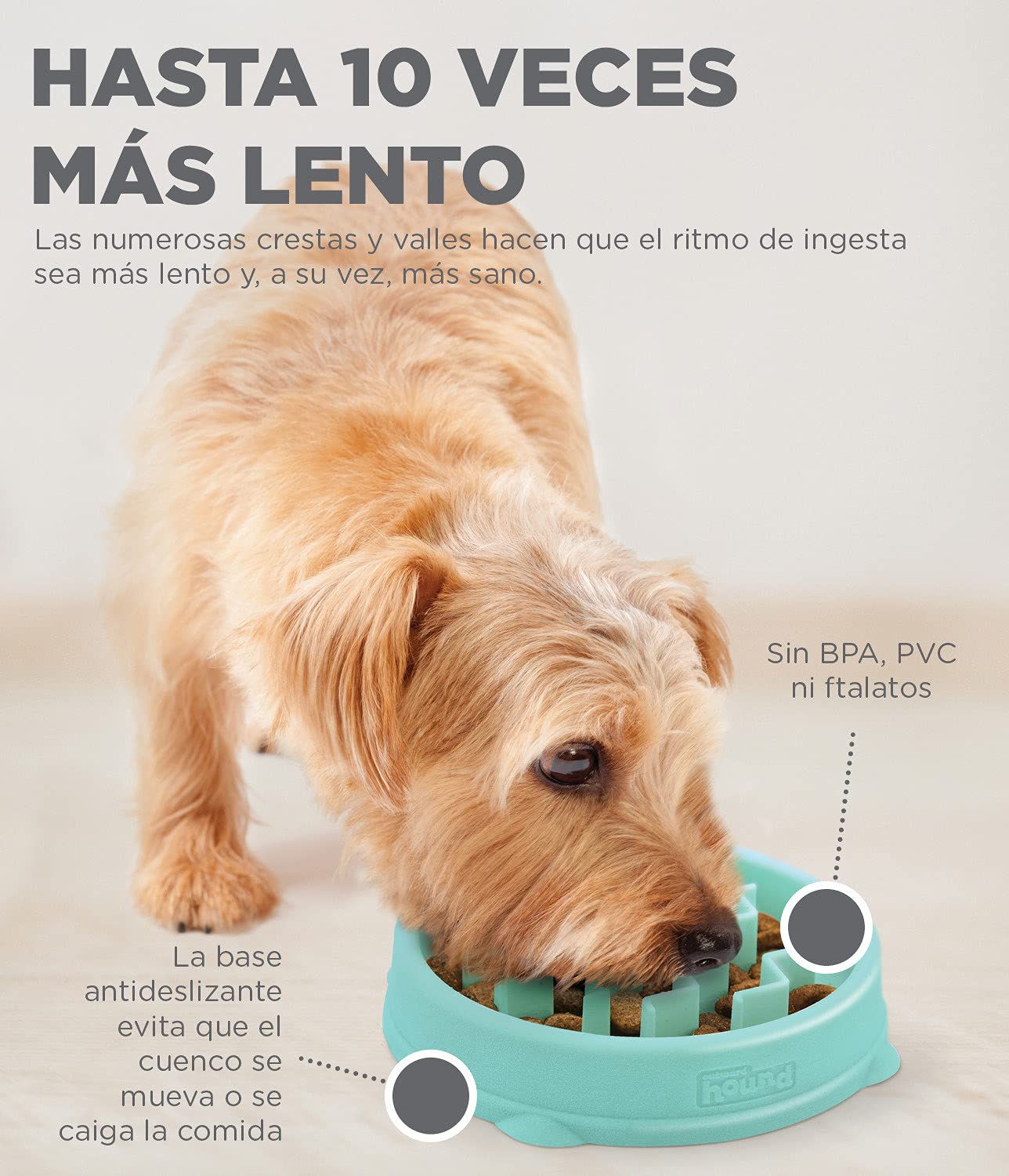 OUTWARD HOUND Fun Feeder Slo-Bowl — Gamelle anti-glouton S/XS – Image 3