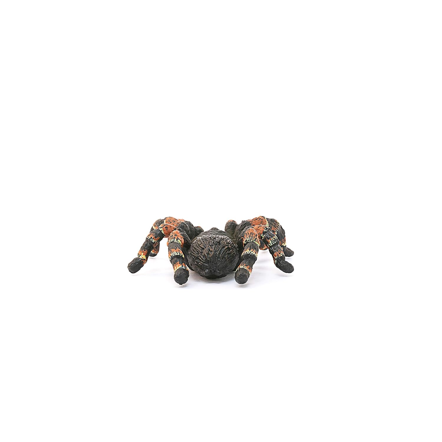 SCHLEICH Wild Life — Figurine Tarentule – Image 3
