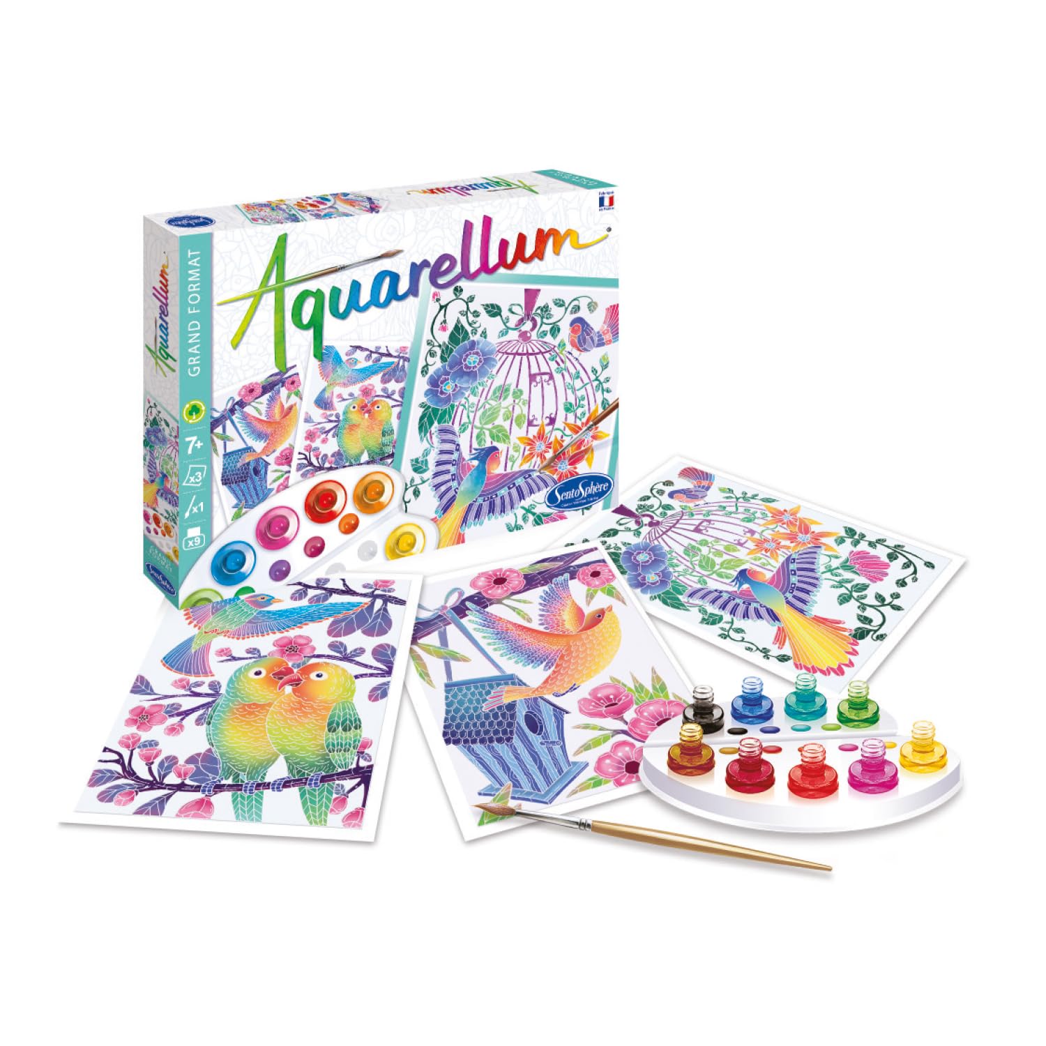 SentoSphère- Aquarellum grand format - LES OISEAUX S'ENVOLENT - Kit peinture aquarellable - Activité créative avec 3 tableaux 32,5 x 25 cm – 9 peintures - 7 à 99 ans - Fabriqué en France-6395