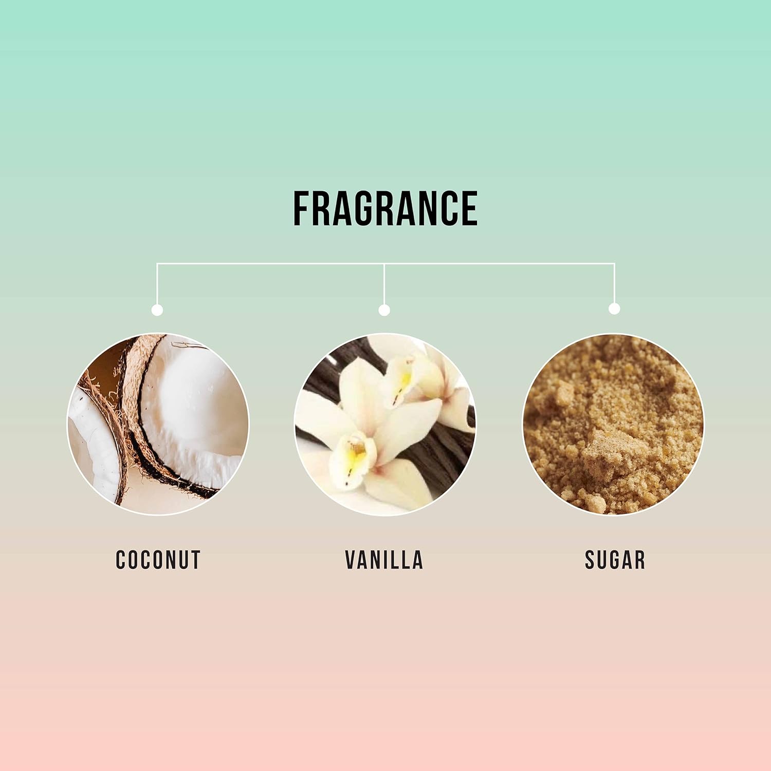 MONOI — Après-shampoing nourrissant 355 ml – Image 4