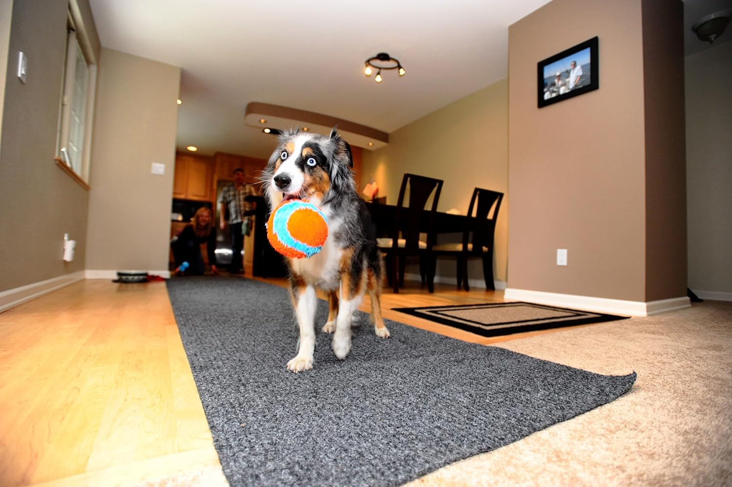 CHUCKIT — Jouet d’intérieur pour chien Ball – Image 4